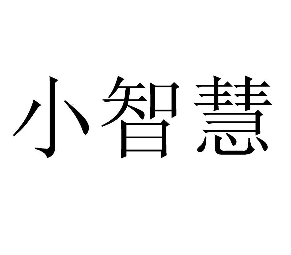 小智慧