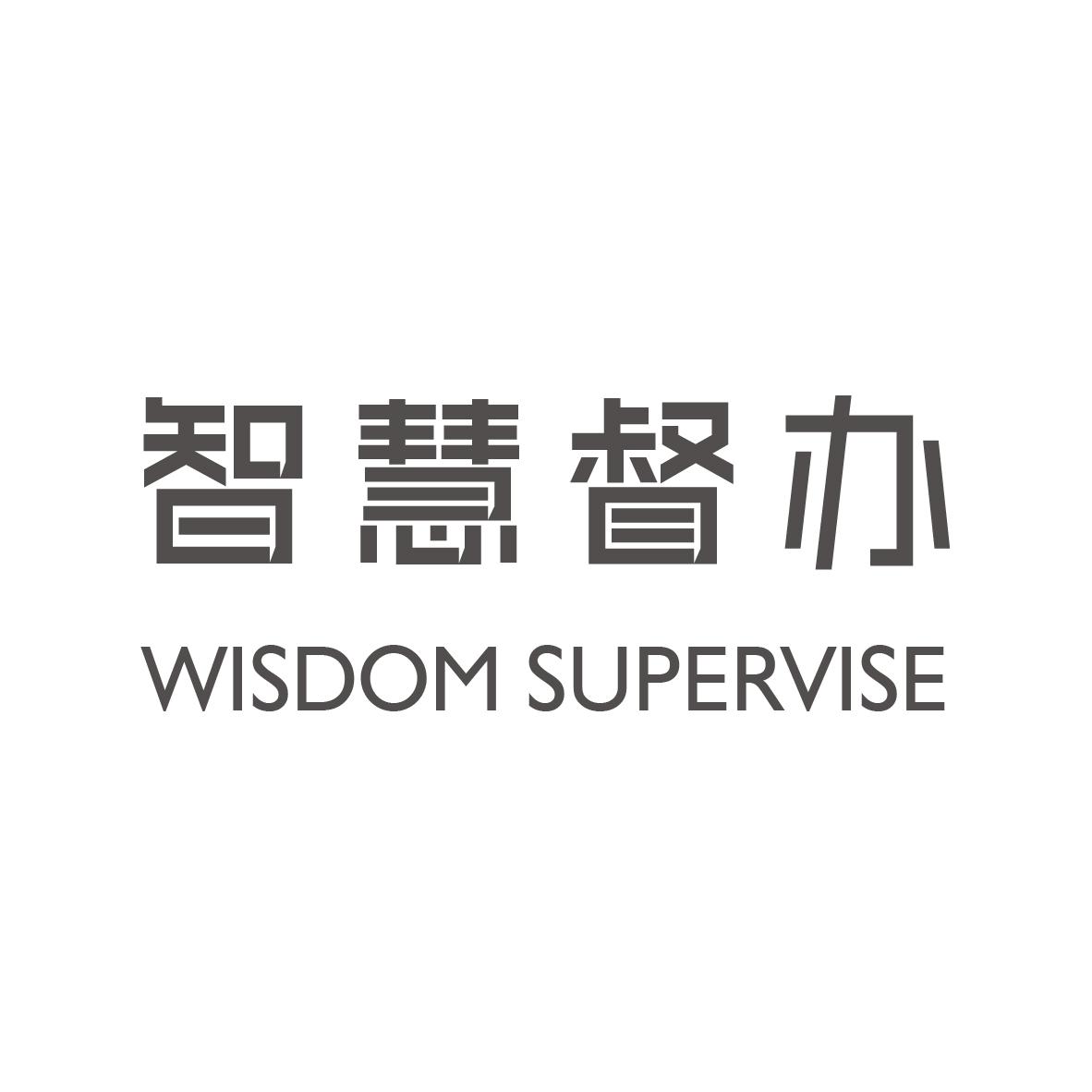 智慧督办  WISDOM SUPERVISE
