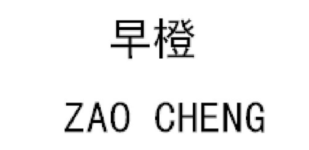 早橙