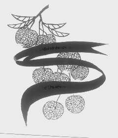 图形