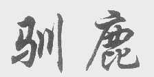 驯鹿