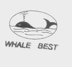 WHALE BEST