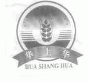 华上华