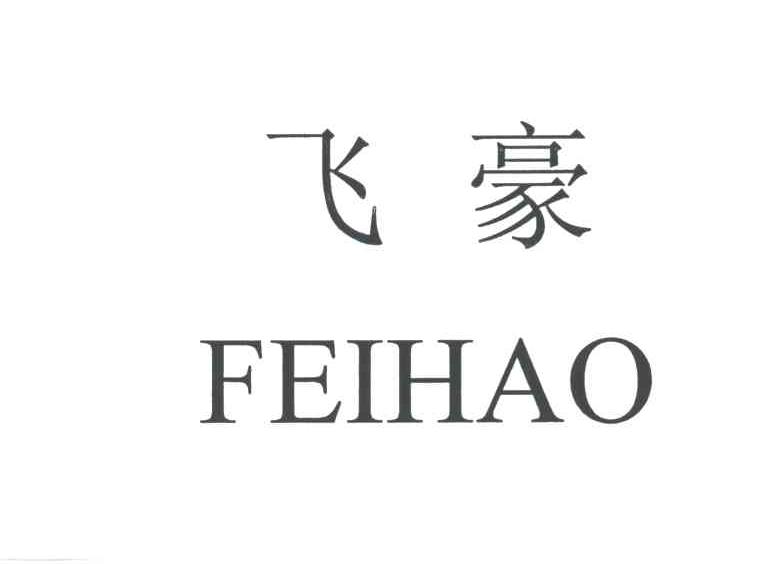 飞豪
