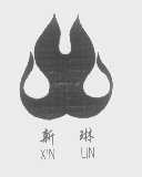 新琳