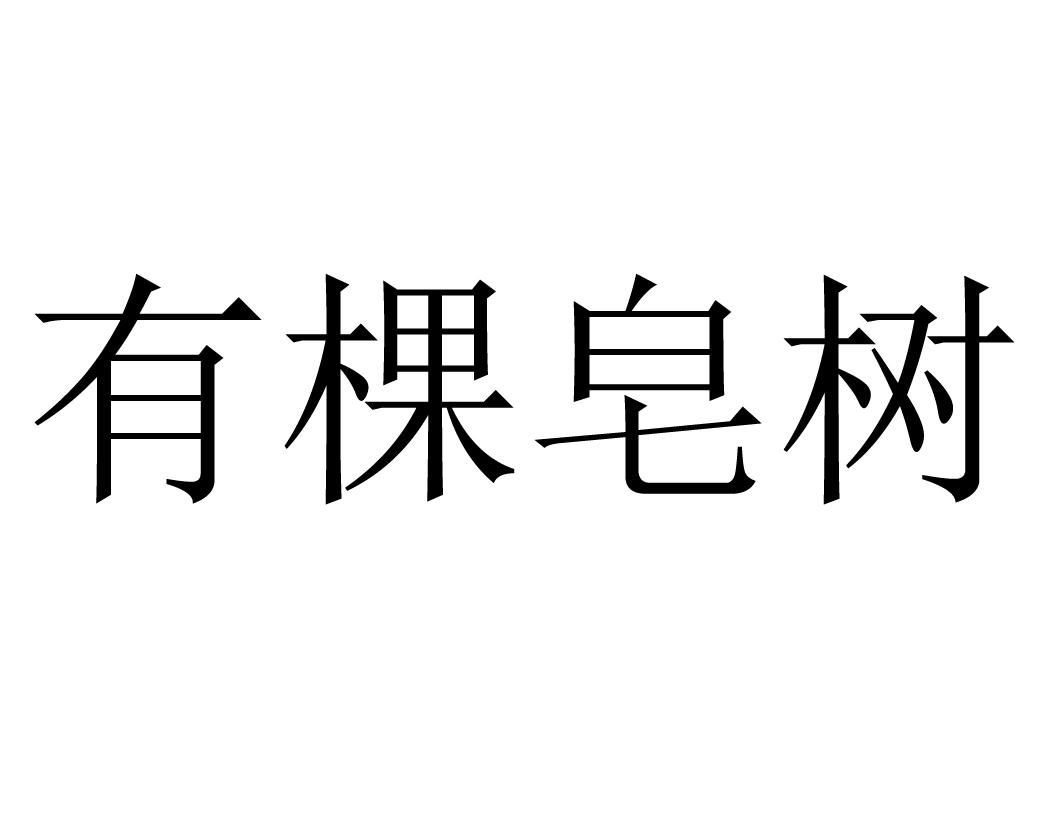 有棵皂树