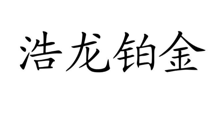 浩龙铂金