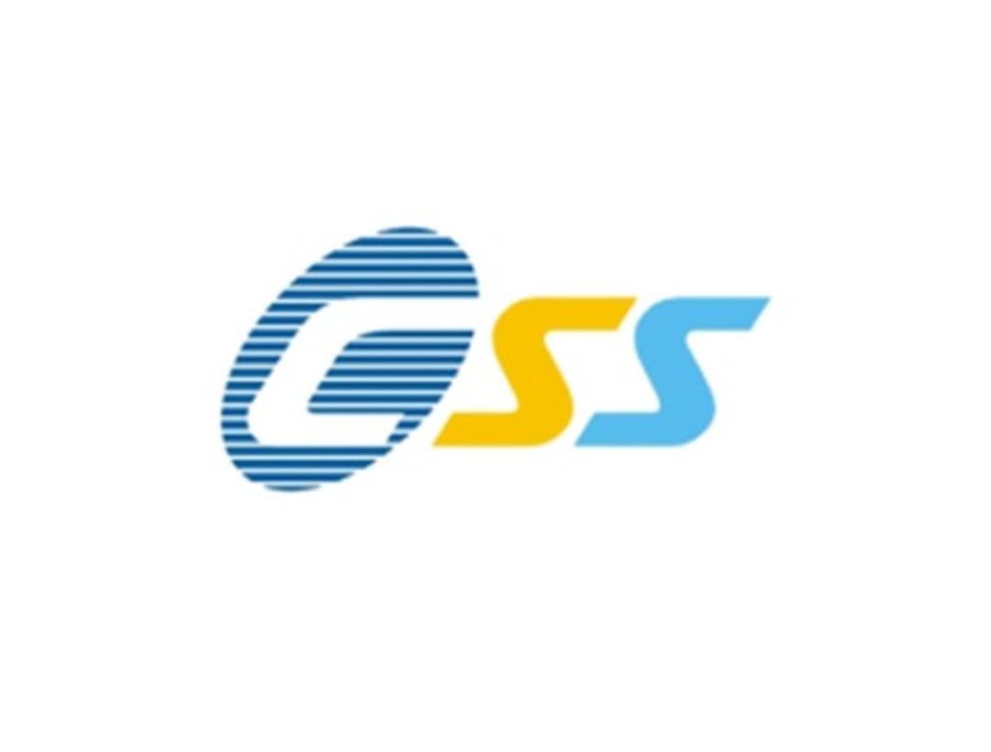 CSS