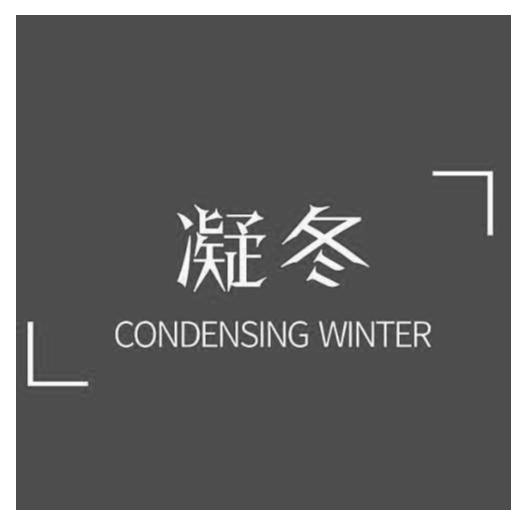 凝冬 CONDENSING WINTER