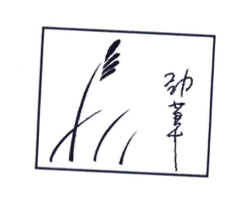 劲草