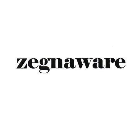 ZEGNAWARE