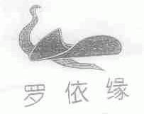罗依缘