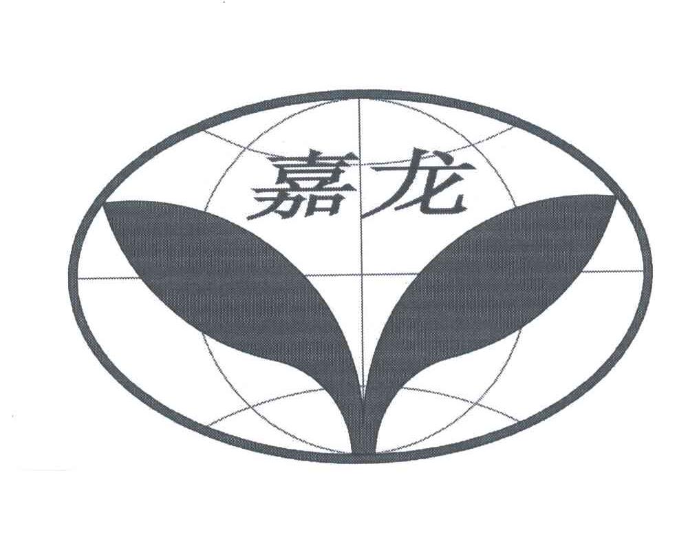 嘉龙