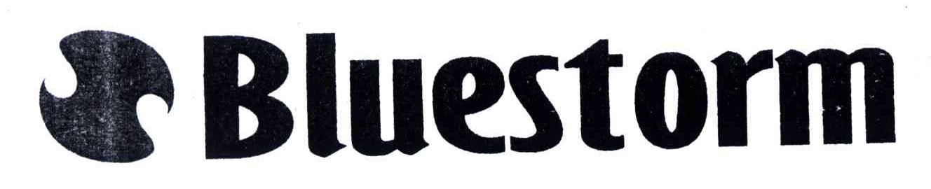 BLUESTORM