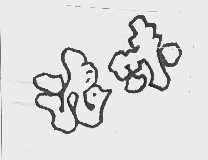 浪味