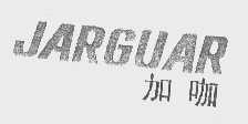 加咖   JARGUAR