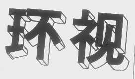 环视