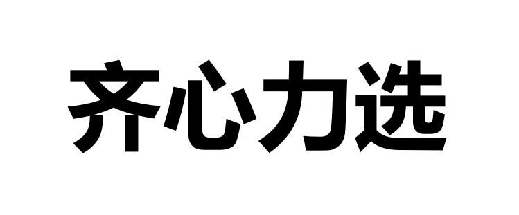齐心力选