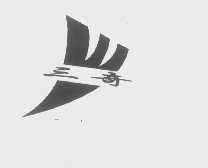 三奇