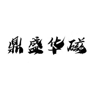 鼎盛华磁