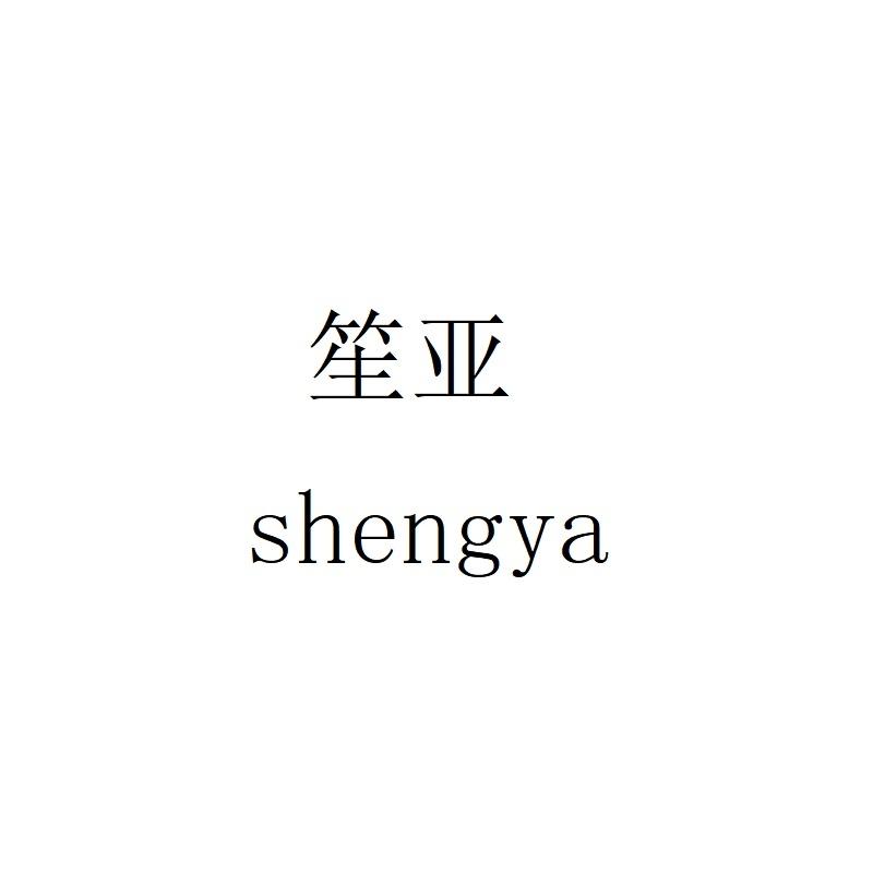 笙亚