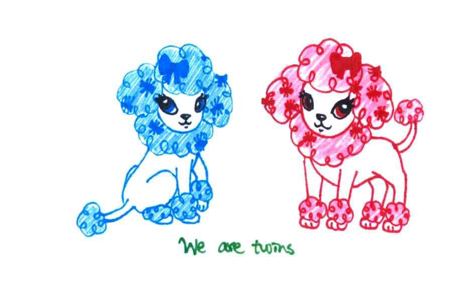 WE ARE TWINS