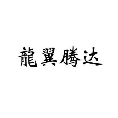 龙翼腾达