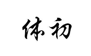 体初
