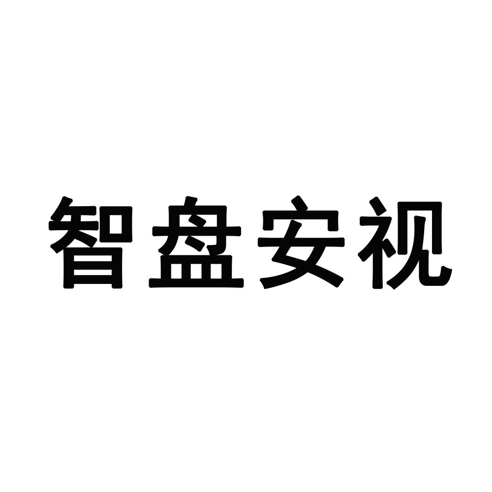 智盘安视