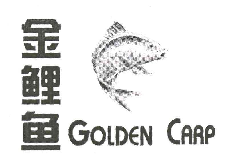 金鲤鱼;GOLDEN CARP
