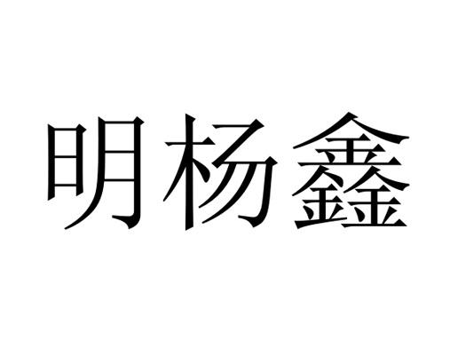 明杨鑫