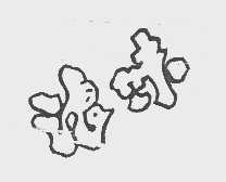 浪味