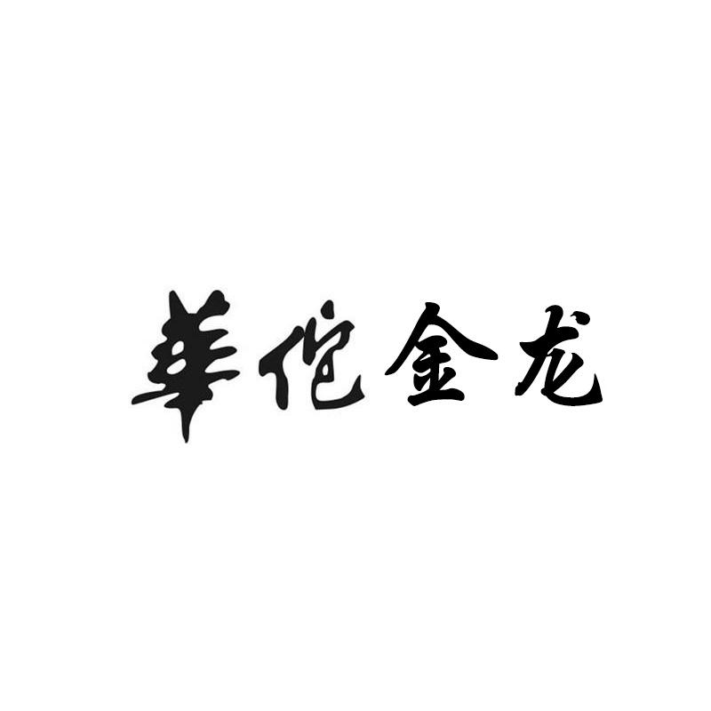 华佗金龙