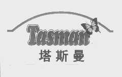 塔斯曼   TASMAN