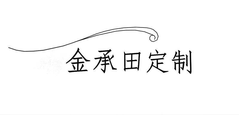 金承田定制