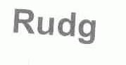 RUDG