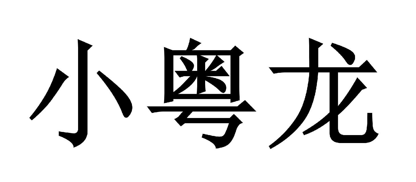 小粤龙