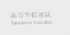 温哥华棕熊队   VANCOUVER GRIZZLIES