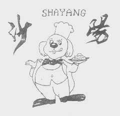 沙阳