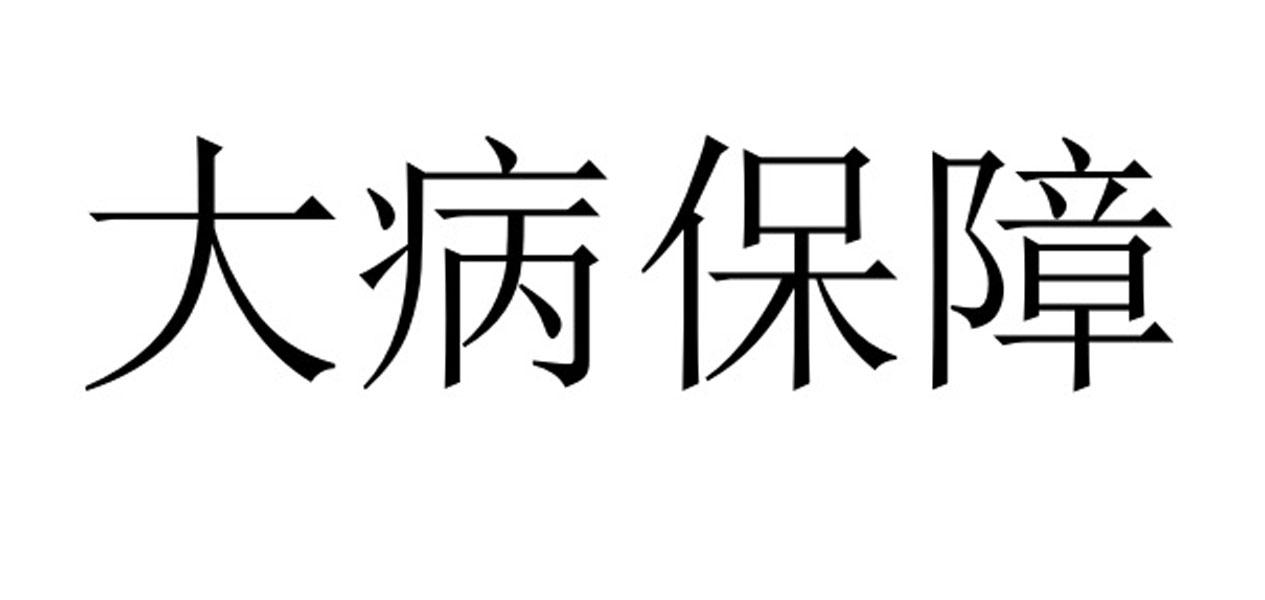 大病保障