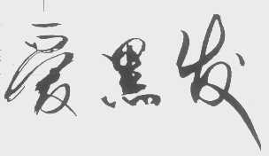 爱黑发