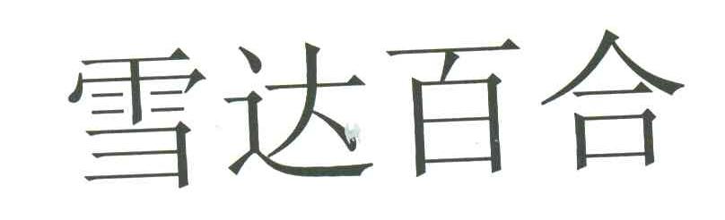 雪达百合