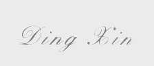 DING XIN