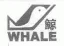 鲸;WHALE
