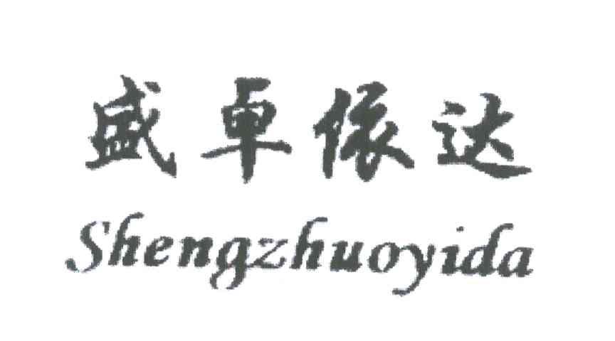 盛卓依达