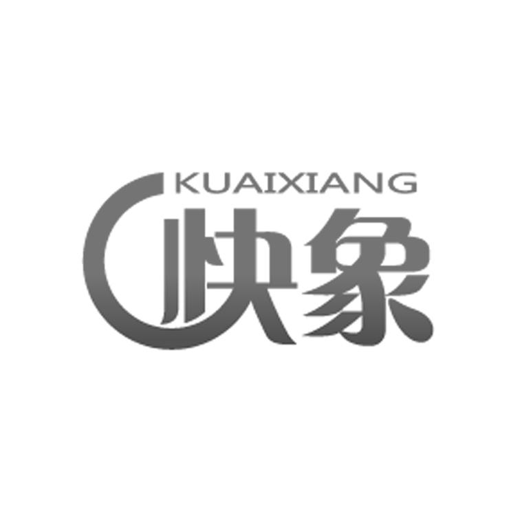 快象
