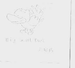 大嘴鸭   BIG MOUTH DUCK