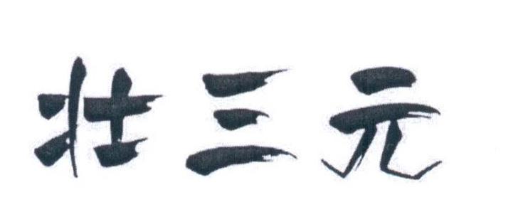 壮三元