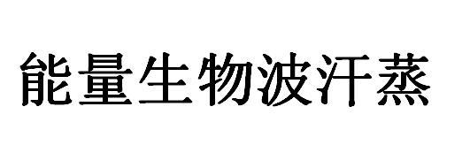 能量生物波汗蒸