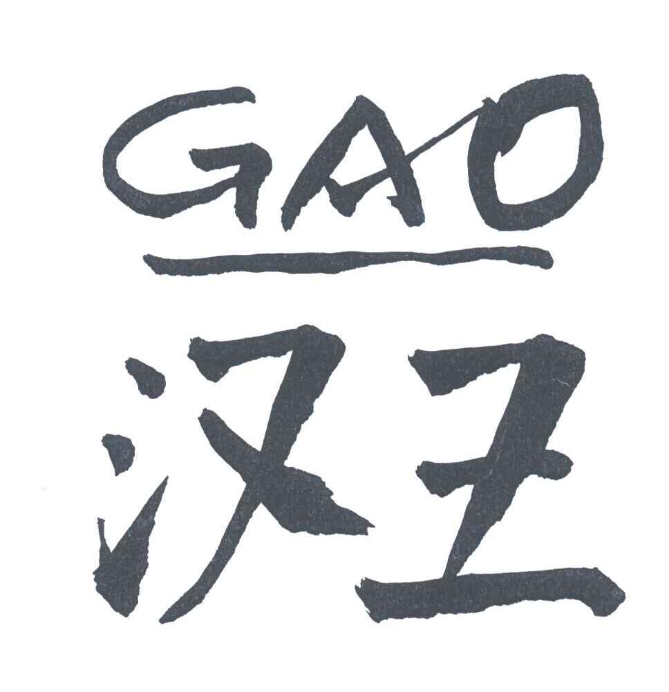 汉王;GAO